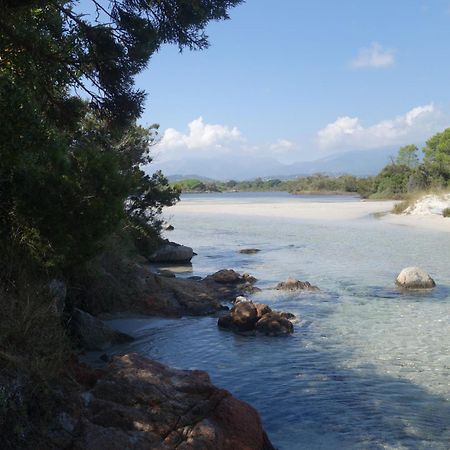 Mini Villa 4-6 Pers. Les Hameaux De Saint Cyprien Lecci Εξωτερικό φωτογραφία